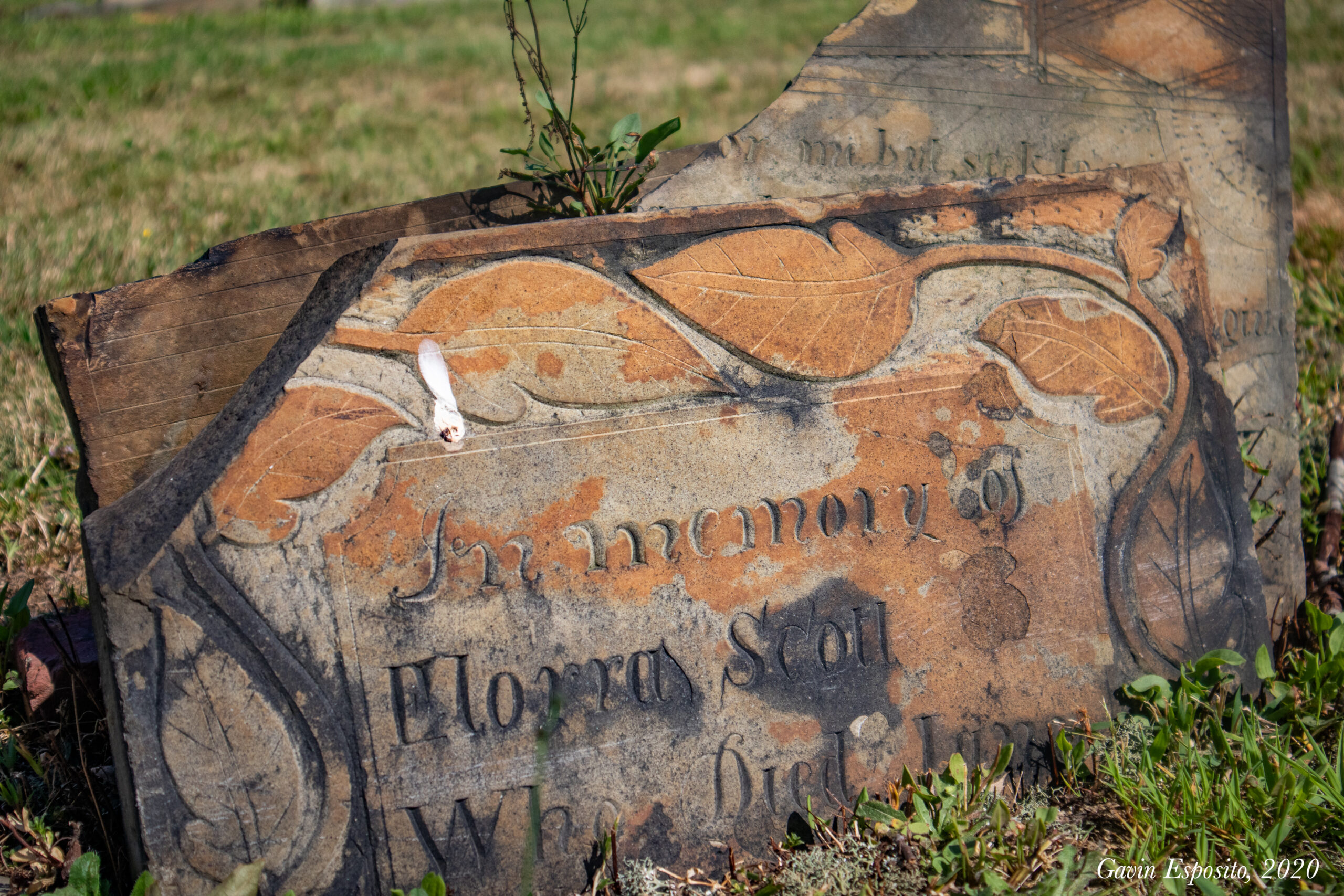 Cemetery Tour in Trumbull County